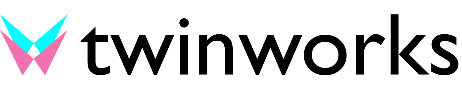 TwinWorks Logo